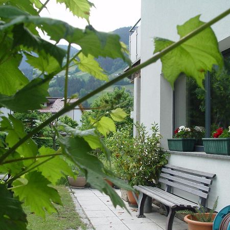 Appartement Birgla Ramsau im Zillertal Εξωτερικό φωτογραφία