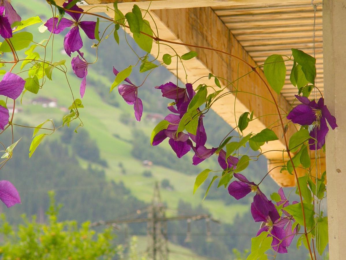 Appartement Birgla Ramsau im Zillertal Εξωτερικό φωτογραφία